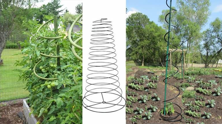 Twisted spiral tomato supports made from galvanized and power-coated steel in green or black color