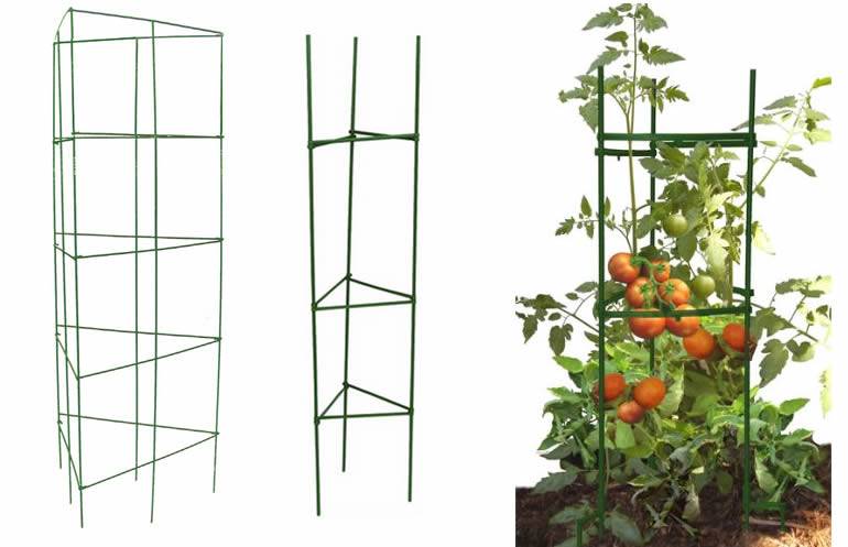 Triangular tomato cages in 2 size: one with 3 legs and the other with 6 legs